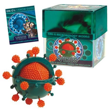 Tedco Toys 32371-VIR Ein-O Bio Signs Virus Model TE564403